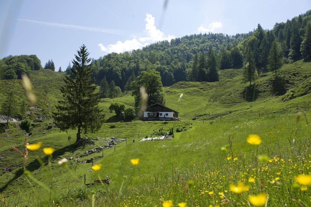 Noichl'S Hotel Garni Sankt Johann in Tirol Quarto foto